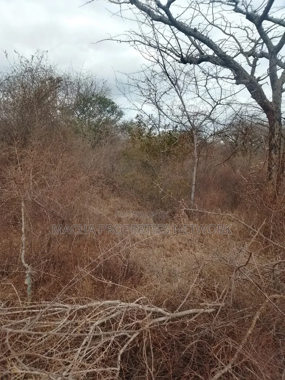 20 Acres Mutha -Kitui County