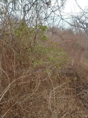 20 Acres Mutha -Kitui County