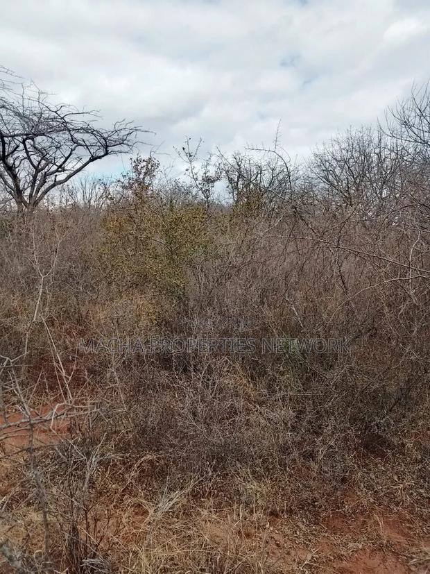 20 Acres Mutha -Kitui County - thumbnail 7