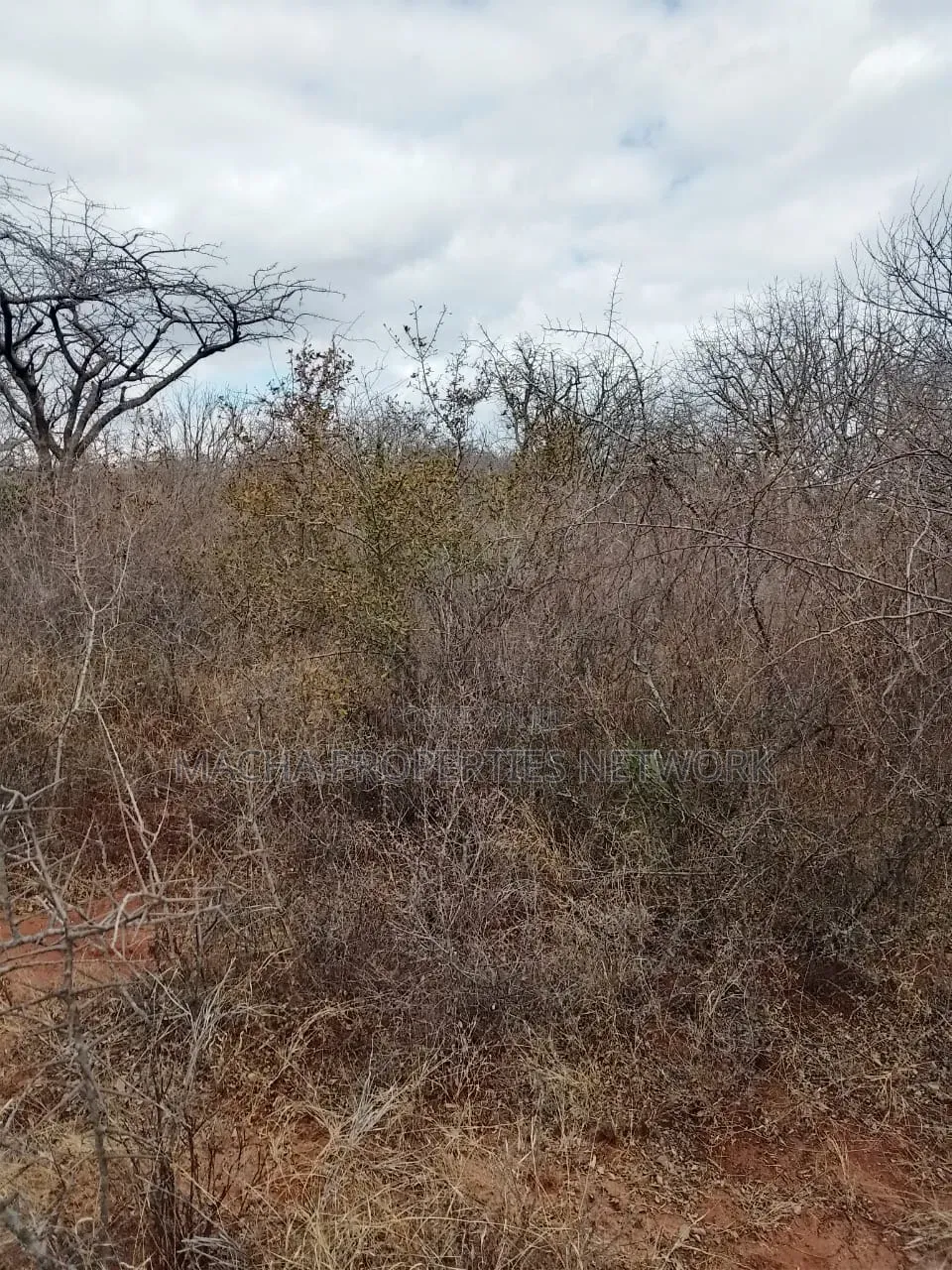 20 Acres Mutha -Kitui County