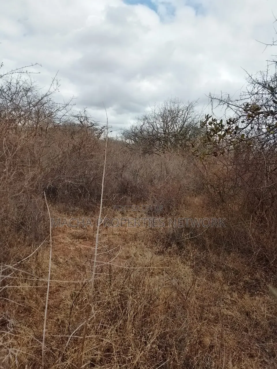 20 Acres Mutha -Kitui County