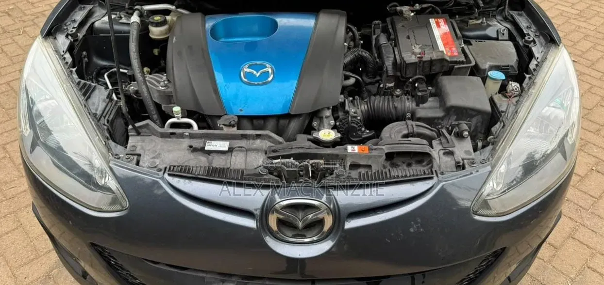 Mazda Demio 2011 Gray