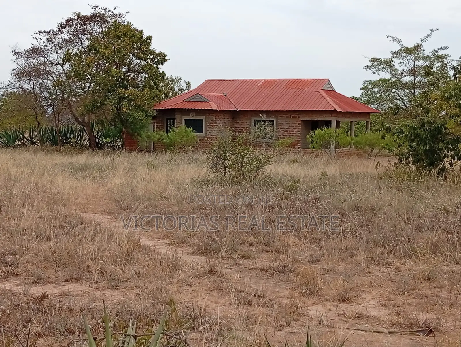 Plots for Sale— Mukusu Shopping Centre, Masinga