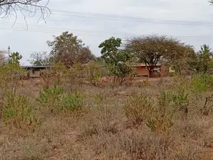 Plots for Sale— Mukusu Shopping Centre, Masinga