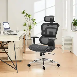 Orthopedic Boss Chair