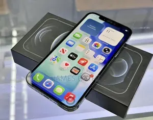 Apple iPhone 12 Pro Max 256 GB Blue