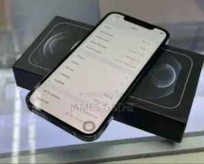Apple iPhone 12 Pro Max 256 GB Blue