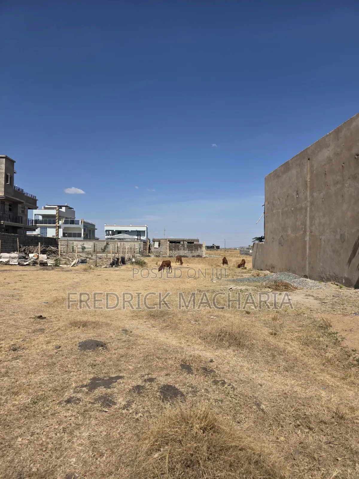 Residential Plot for Sale at Juja Farm