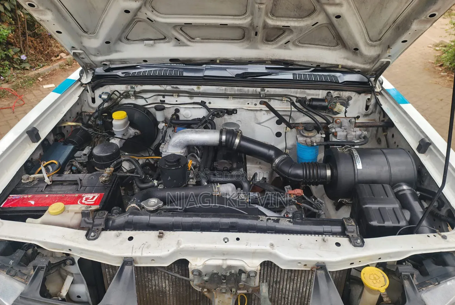 Nissan Hardbody 2011 White