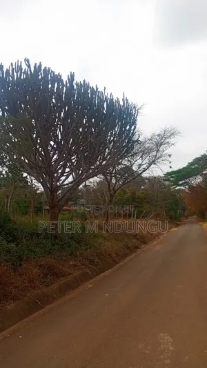 Thika Road -Opposite Blue Post Hotel, Prime 2.5Acres Touching T/Road