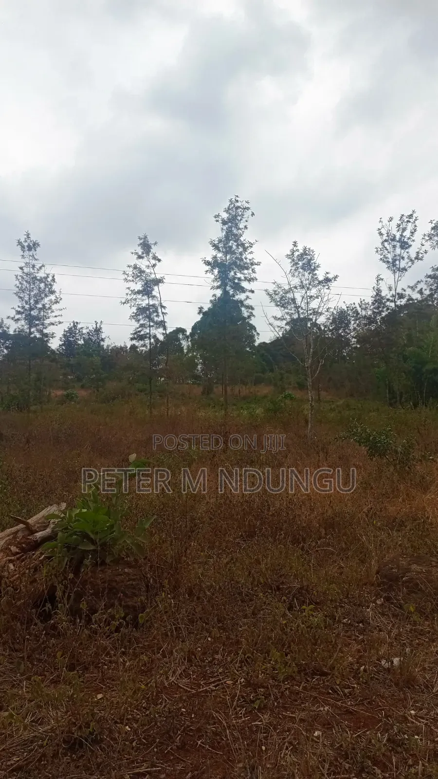Thika Road -Opposite Blue Post Hotel, Prime 2.5Acres Touching T/Road