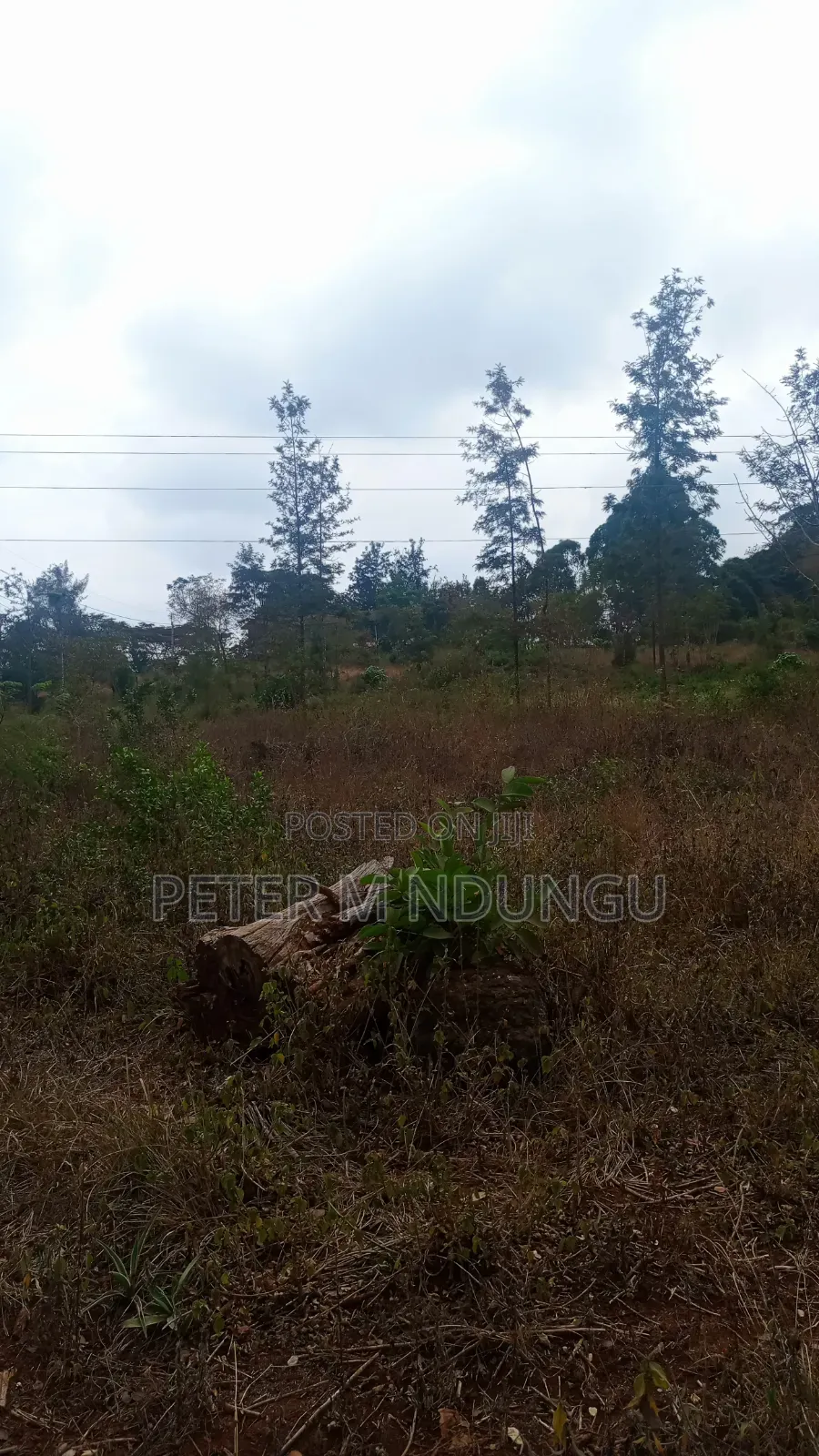 Thika Road -Opposite Blue Post Hotel, Prime 2.5Acres Touching T/Road