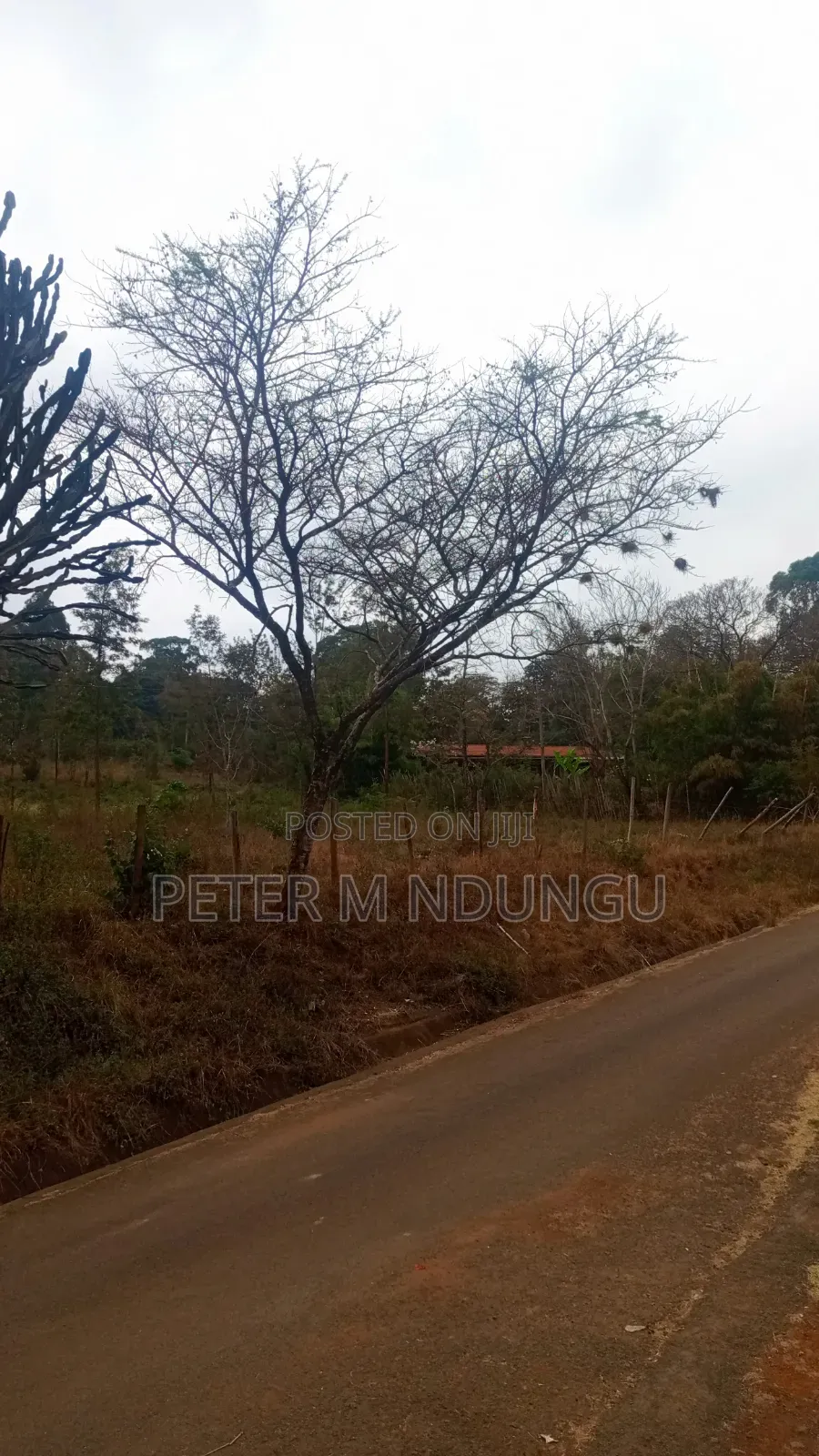 Thika Road -Opposite Blue Post Hotel, Prime 2.5Acres Touching T/Road