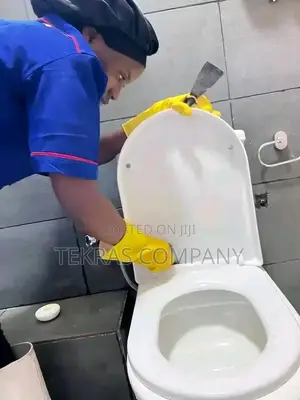 Toilet Cleaning