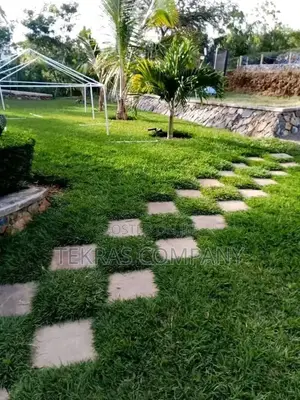 Garden Maintenance