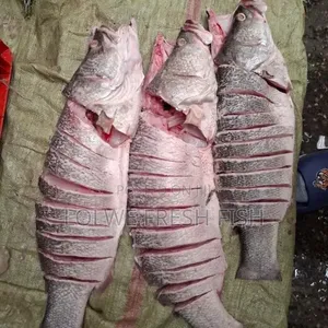 Nile Perch and Tilapia Fish