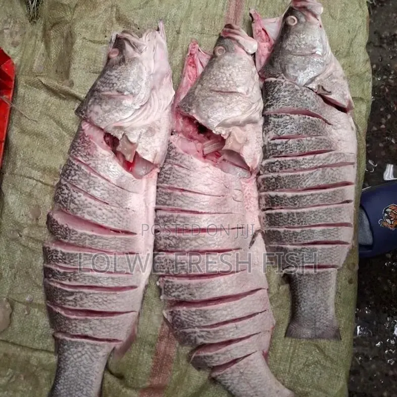 Nile Perch and Tilapia Fish