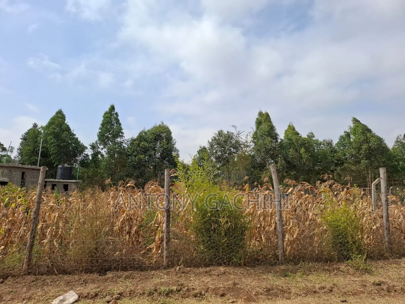 Land for Sale