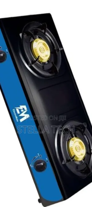 Electromate Stainless Double Burner Cooker