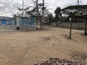 Commercial Plot