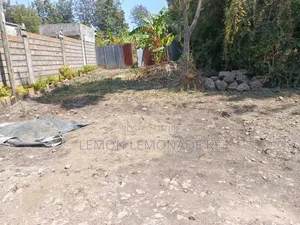 Prime Piece of Land 1/2 Acre at Olepolos Vet Ngong
