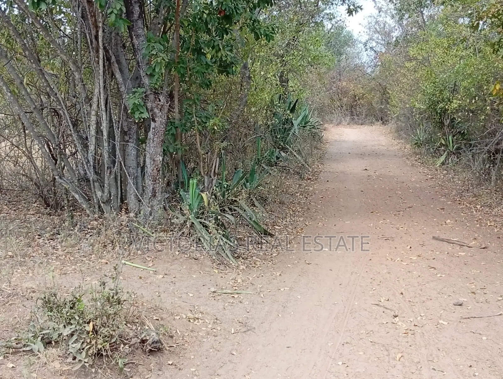 50×100 Plots for Sale in Vondeni, Kivaa KSh 350,000