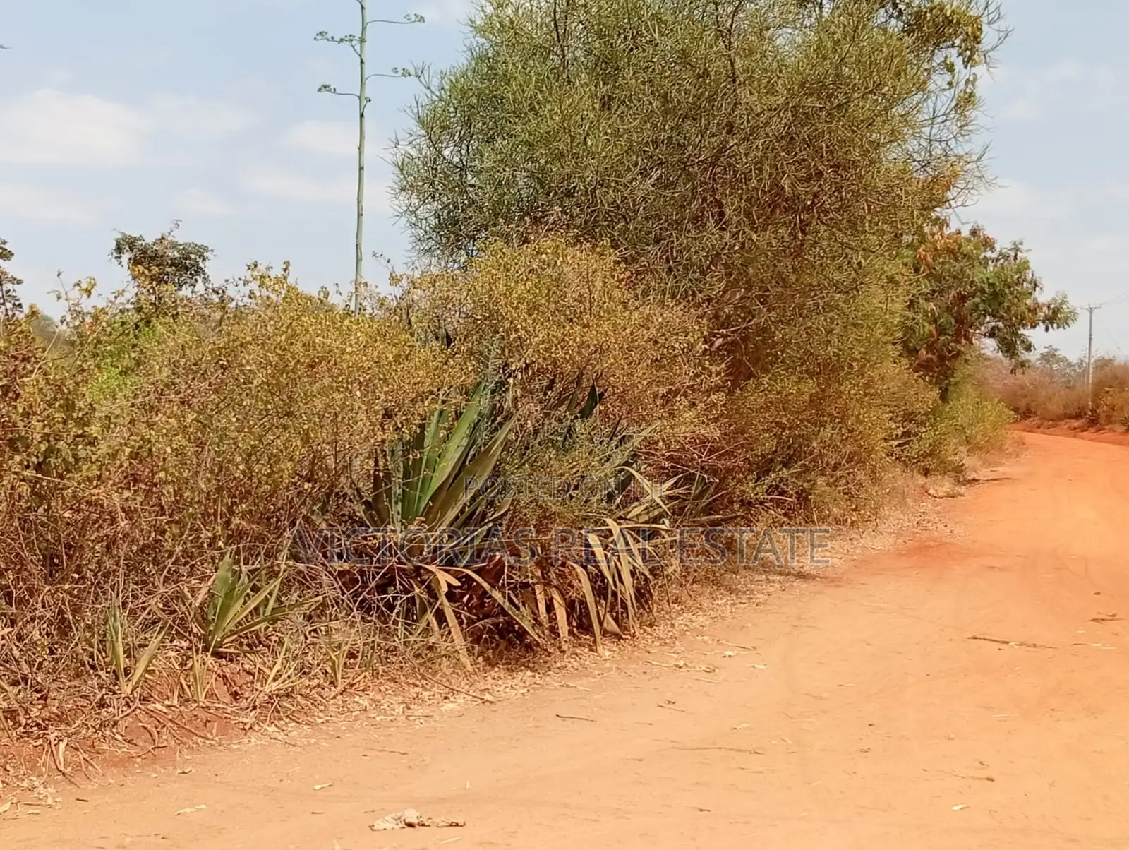 50×100 Plots for Sale in Vondeni, Kivaa KSh 350,000