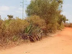 50×100 Plots for Sale in Vondeni, Kivaa KSh 350,000