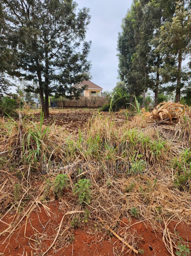 Kenyatta Road 50by 100 Croton Ridge Estate