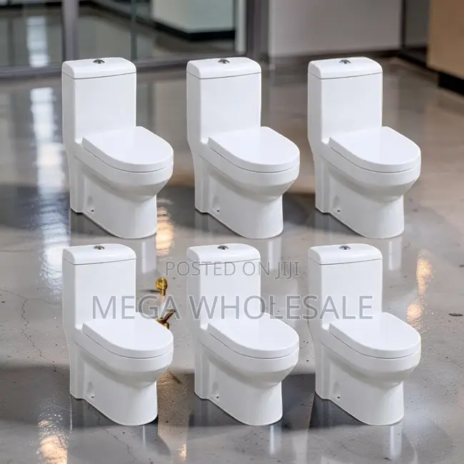 Low Prices Hygienic Sawa One Piece Dual Flush Toilet Seats.