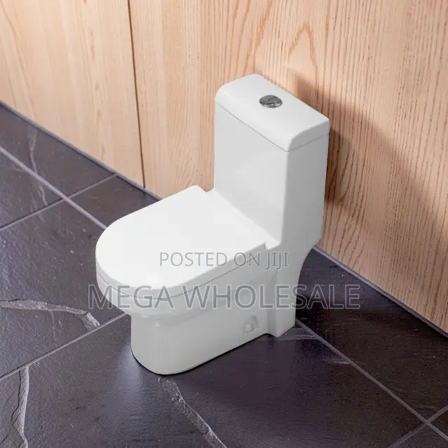 Bulk Discounts Stylish Sawa One Piece Dual Flush Toilet Seats