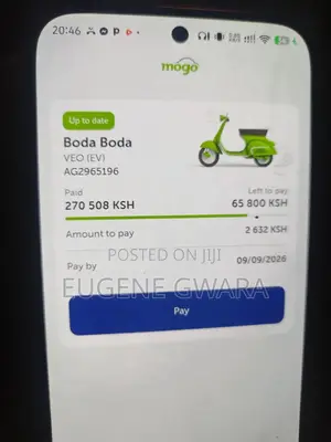 Motorcycle 2023 Green