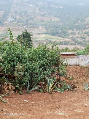 1acre Mua Kitanga Touching Tarmac Selling at 6.5m