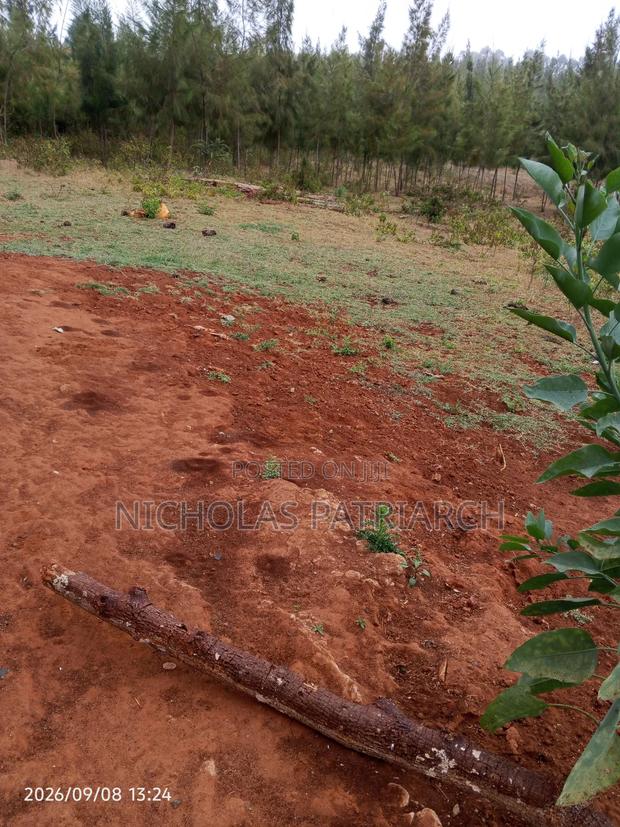 4 Acres Mua Hills Kitanga Selling at 7m Per Acre. - thumbnail 2