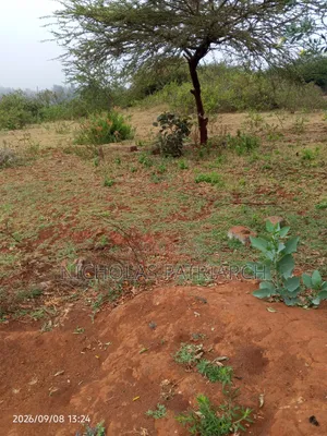 4 Acres Mua Hills Kitanga Selling at 7m Per Acre.