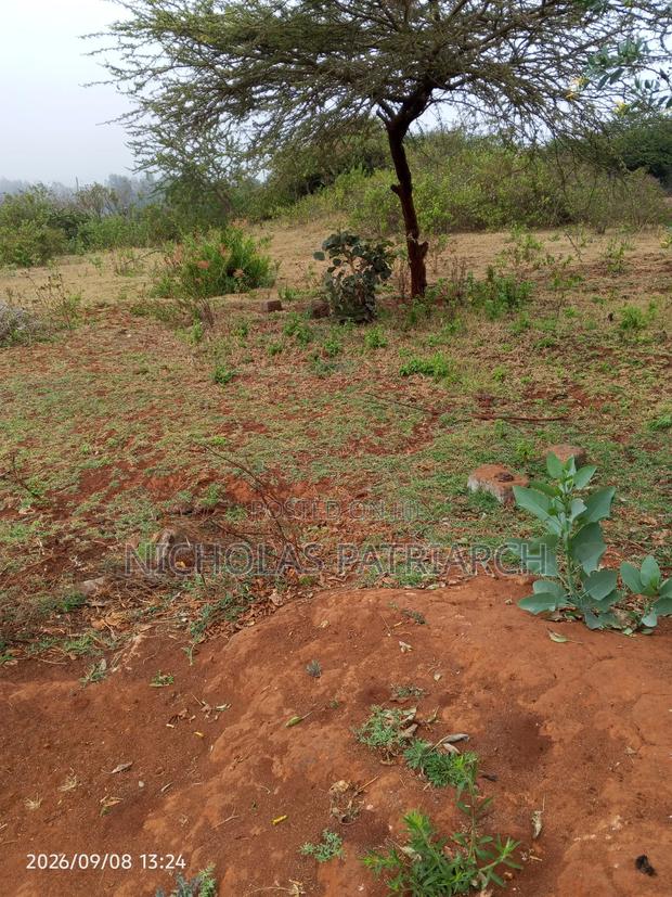 4 Acres Mua Hills Kitanga Selling at 7m Per Acre. - thumbnail 3