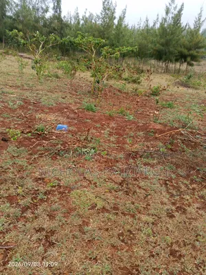 4 Acres Mua Hills Kitanga Selling at 7m Per Acre.