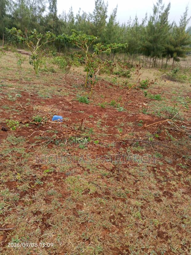 4 Acres Mua Hills Kitanga Selling at 7m Per Acre. - thumbnail 4