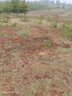 4 Acres Mua Hills Kitanga Selling at 7m Per Acre.