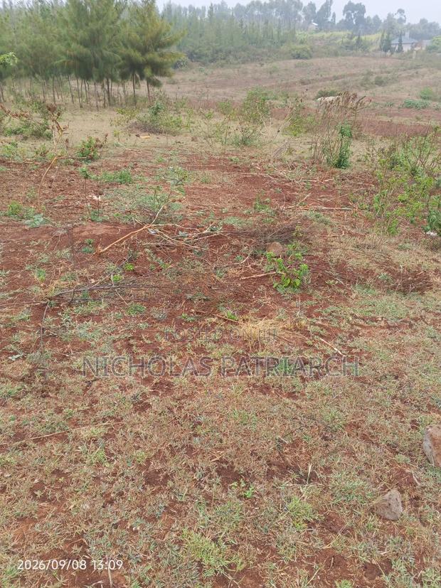 4 Acres Mua Hills Kitanga Selling at 7m Per Acre. - main view