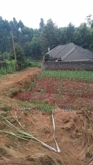 Karura Lower Kabete Plot