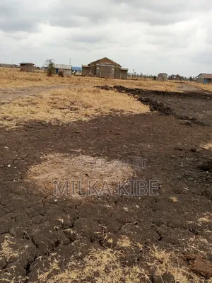 Muthaara 40 by 80 Plot