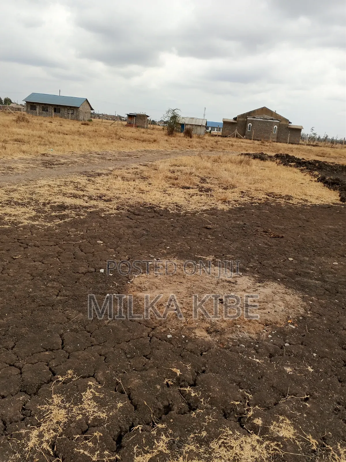 Muthaara 40 by 80 Plot