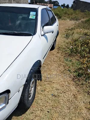 Nissan Sunny 2000 White