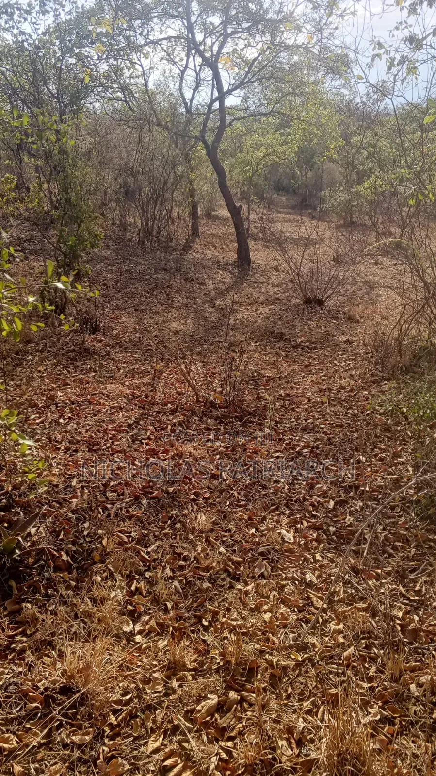 2 Acres Kyua -Machakos County Selling at Per Acre
