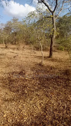 2 Acres Kyua -Machakos County Selling at Per Acre