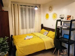 Cozy Furnished Apartment/Studio