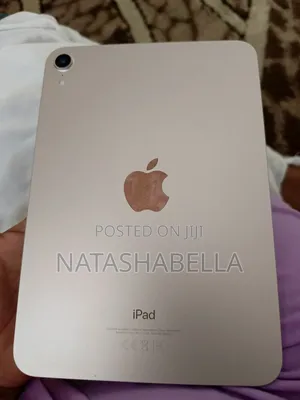 Apple iPad mini 6 64 GB Gray