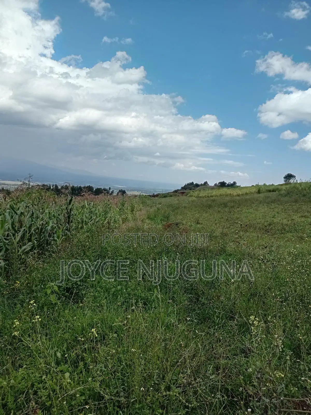 Selling One Acre of Slightly negotiable.ready Tittle Deed