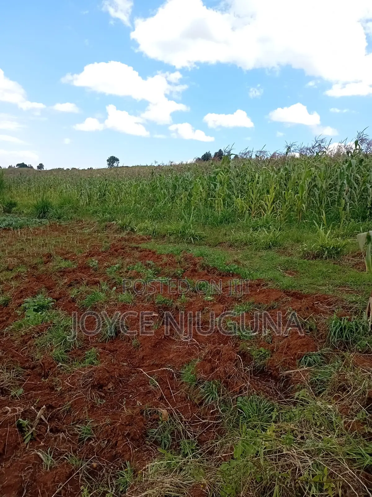 Selling One Acre of Slightly negotiable.ready Tittle Deed